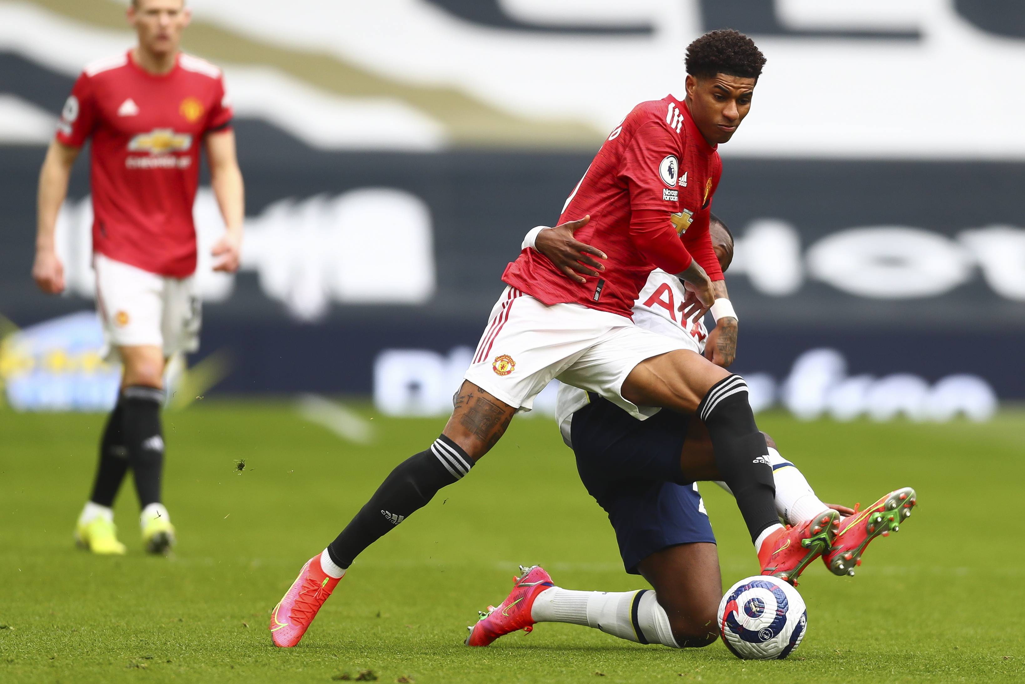 他们不仅在 他们不仅在